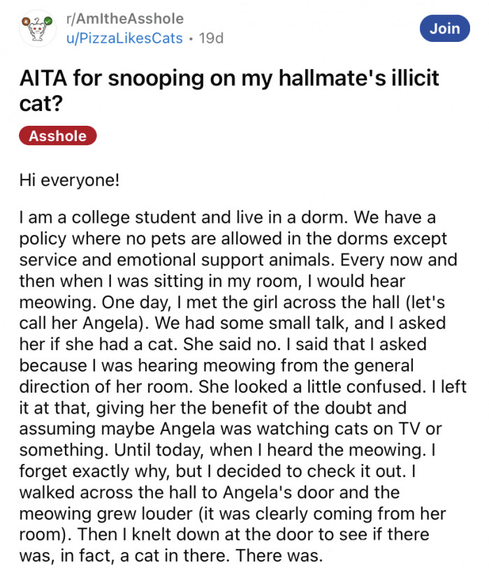 The Reddit user asked for advice on whether she had overstepped when she discovered a fellow student in her dorm was keeping an "illicit cat" in her room.