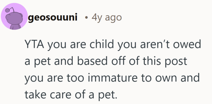 When the internet puts on its stern parent voice and delivers the no without cushioning.