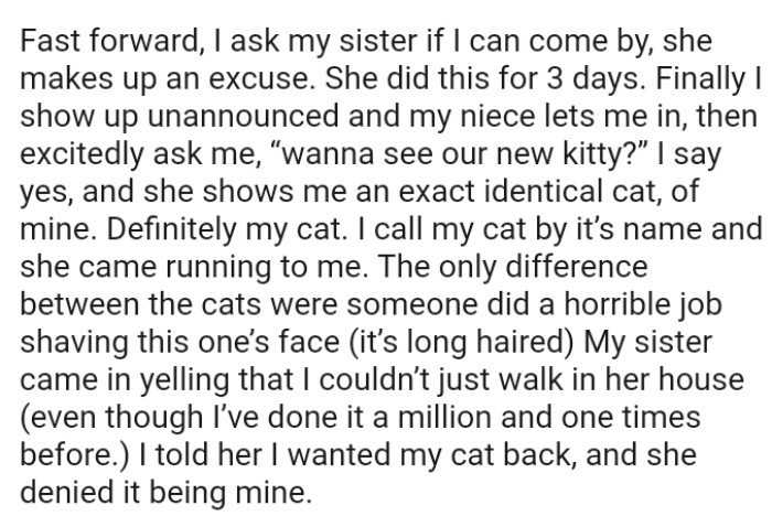 The only difference between the cats was that someone did a horrible job shaving this one’s face