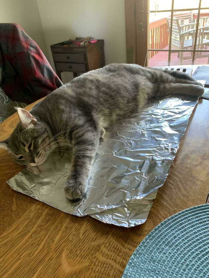 "Well That Didn’t Work"