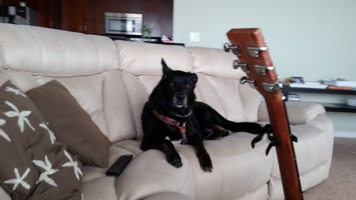 Funny, I've never heard of the "Jessica" breed before