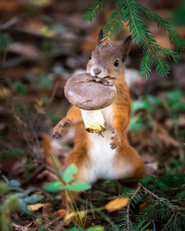 19. A good meal for the day