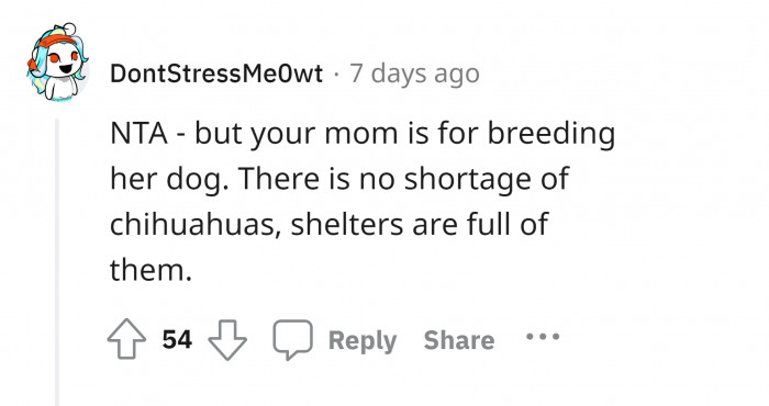 #9 Puppies open for adoption.