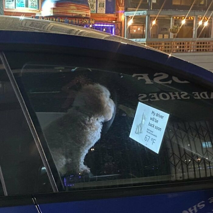 35. Yes, cutie, your driver will be back soon