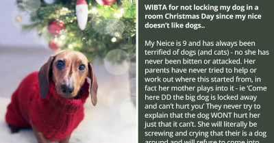 Woman Refuses To Lock Her Dog In Bedroom While Her Niece Is Visiting Because She Doesn’t Believe Her Parents Are Addressing Her Pet Phobia Properly
