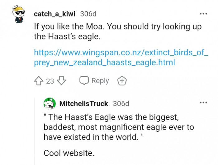 Another Redditor suggesting that you look up the haast's eagle