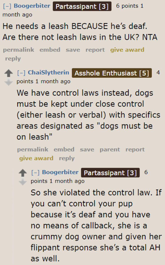 The irresponsible dog owner might also be breaking laws.