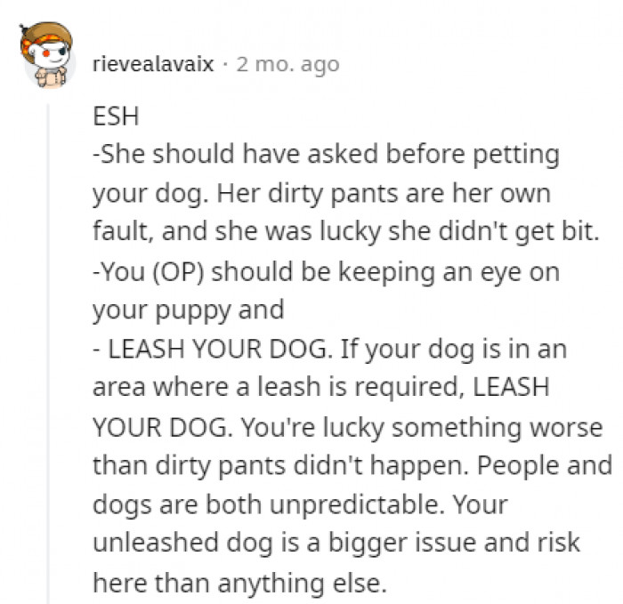 Leash your dogs.