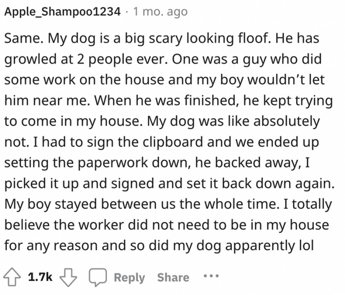 My dog is a big scary floof