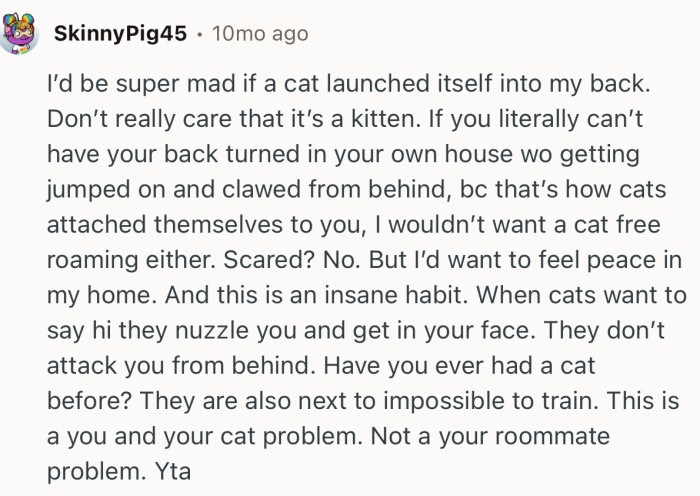 “I’d be super mad if a cat launched itself into my back. Don’t really care that it’s a kitten.”