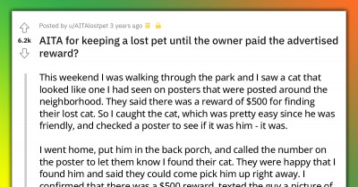 Redditor Refused To Give Stranger Their Lost Cat Until He Agreed To Pay Him The Advertised $500 Reward