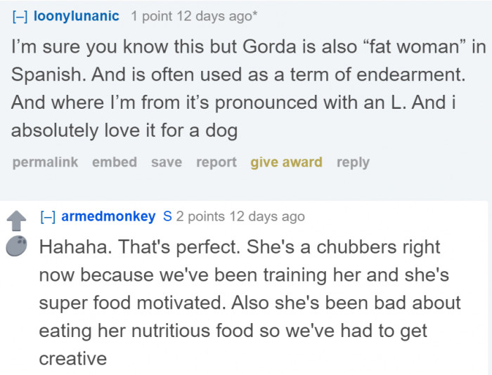 A Spanish user explains the meaning of the dog's name in their language.