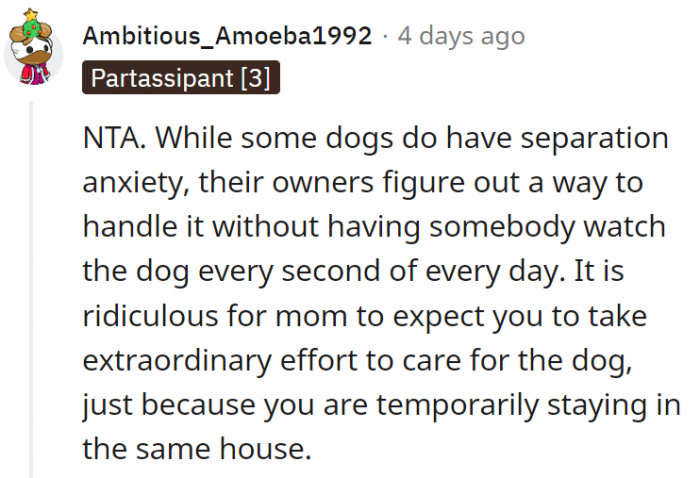 6. Mom should be the one taking care of her dog's anxiety issues.