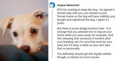 Redditor Gets Sued By Her Ex For Trying To Keep A Dog They Both Got When They Were Still Dating