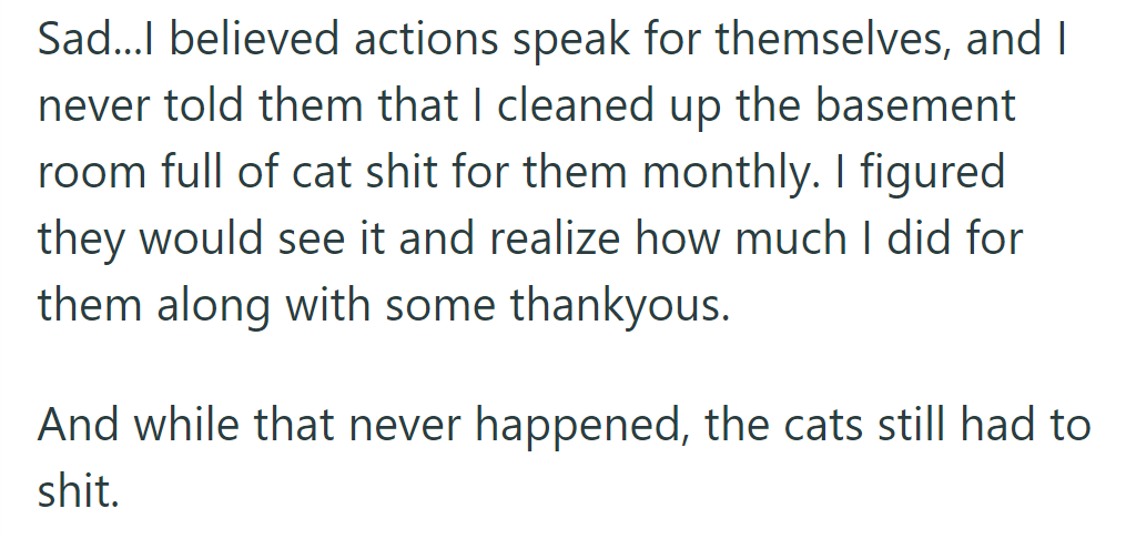 OP cleaned the cat-filled basement monthly, expecting gratitude, but actions went unnoticed amid ongoing chaos.