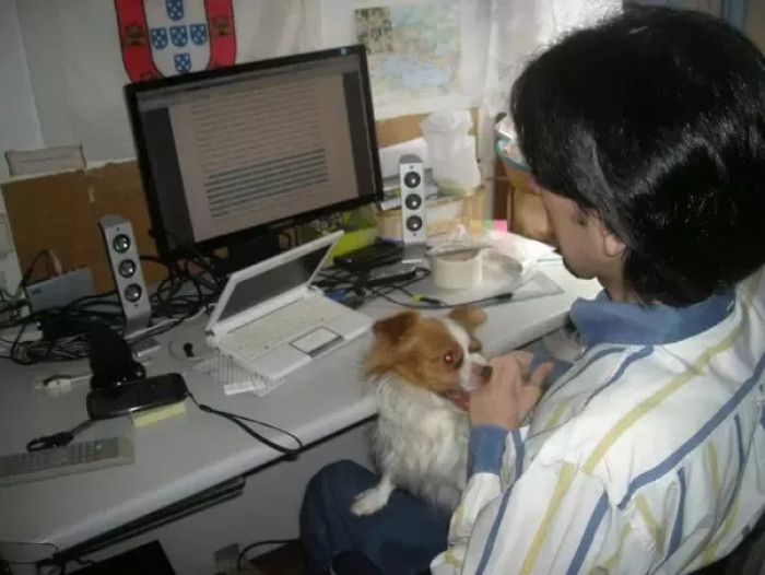 Nito's ultimate move