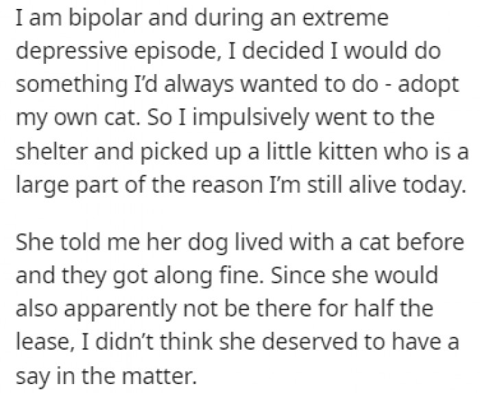 OP decided to get a kitty during a depressive episode, and she says that this kitty is the only reason she's alive today