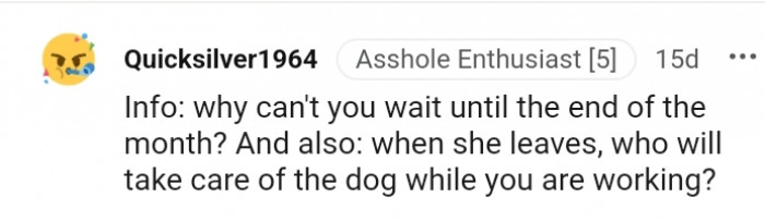 Who will take care of your dog while you work?