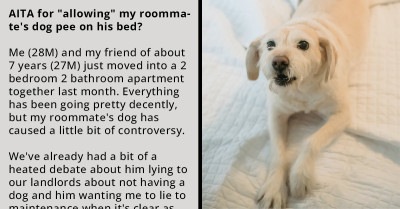 Redditor Gets Accused Of Intentionally Making His Roommate's Dog Pee On His Bed
