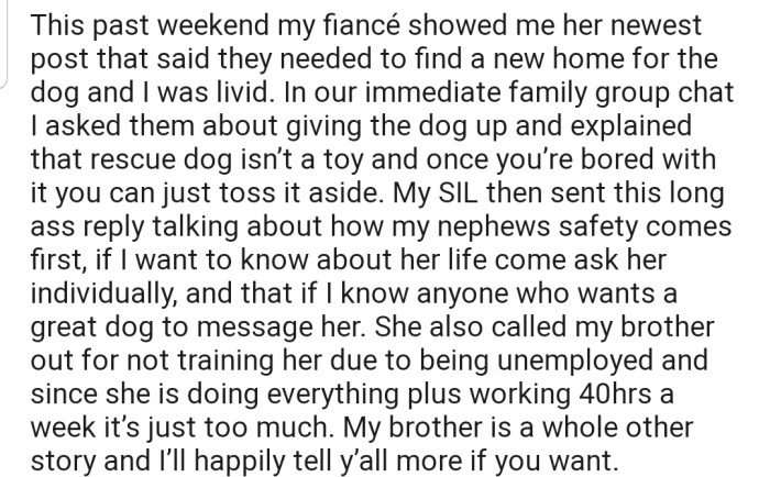 Now the couple is looking to give up the cute critter after a short while of owning it