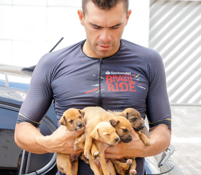 He and his friend took the puppies home, fed them, and provided them with shelter.