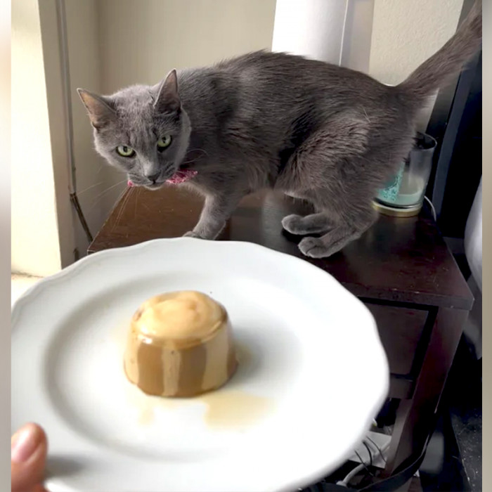 “April is 18 this month! 🤗 Made her a little cake to celebrate.”