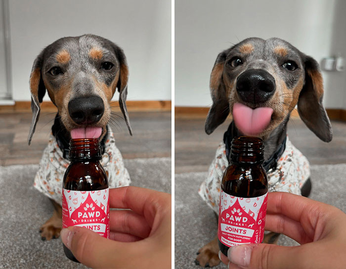 "Ivy Tried A Drink Today And She Loved It"