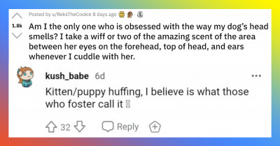An Adorable Reddit Thread Proves That Dogs Have The Most Amazing Scent In The World