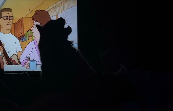 18. A creature from the Purrasic Park