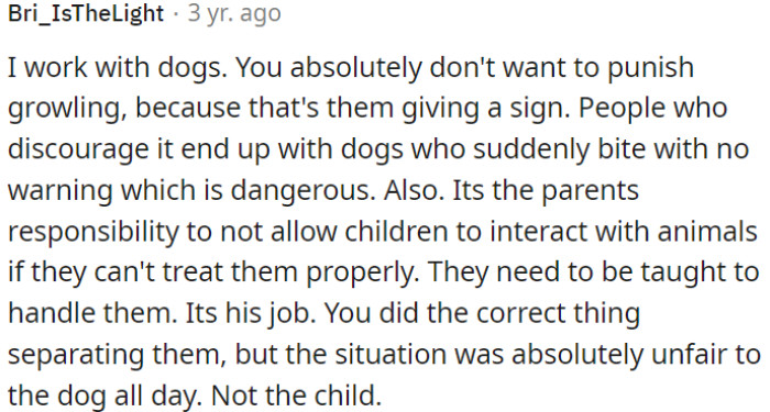 Parents must teach kids how to handle dogs.