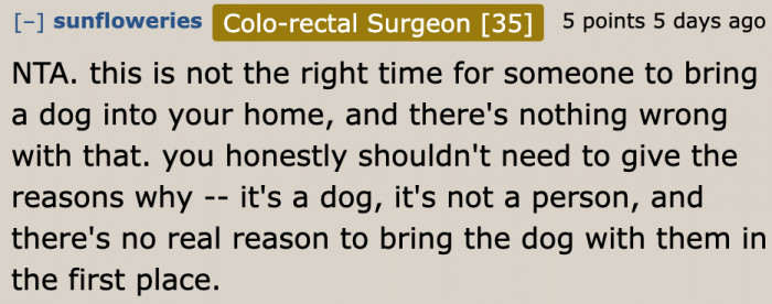 This isn't the time they should be worrying about a dog they don't own.