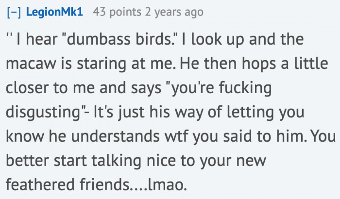 It's time to be nice to the birbs, OP!