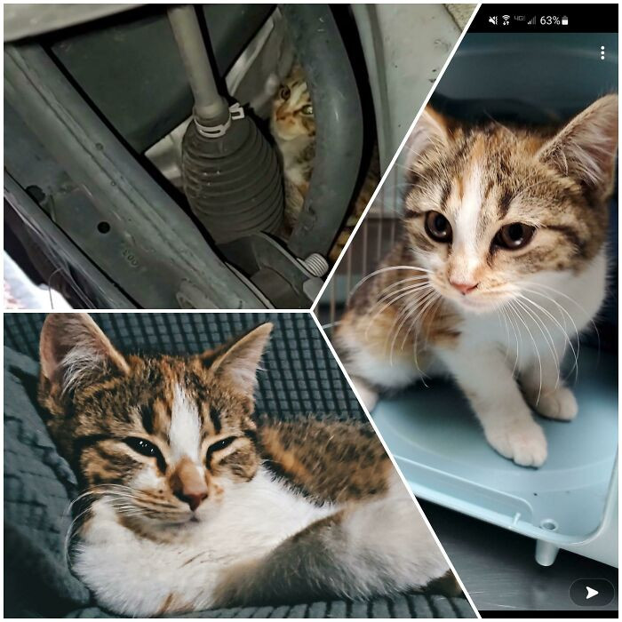 9. She was found in someone else's car in a parking lot.