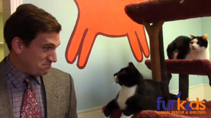 This is "Kitty Kommercial"