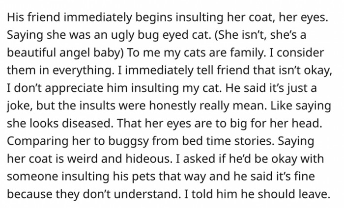 5. The Friend Immediately Started to Insult the Cats of the House Without Any Consideration for the Host's Feelings. So OP Reacted the Only Way She Could - by Standing Up for Her Cats.