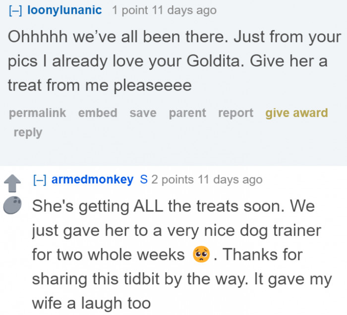 The community is loving the dog tax.