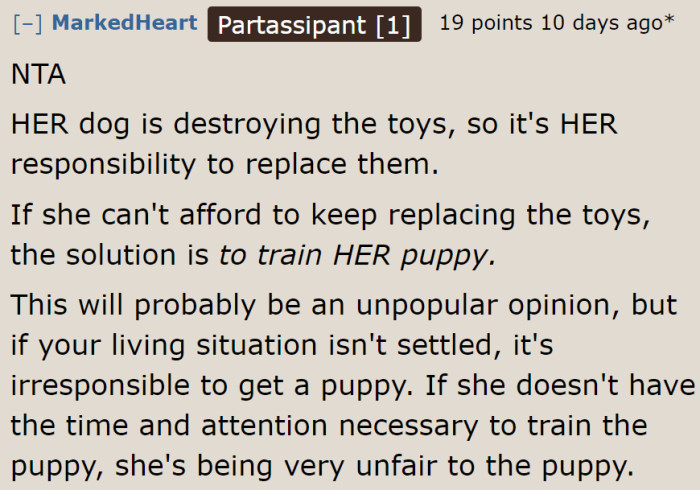The stepdaughter is responsible for her dog. That's why she needs to replace those toys.