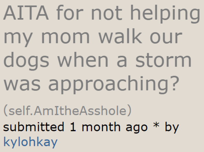 The original poster's (OP's) mom wants her to let the dogs pee outside.