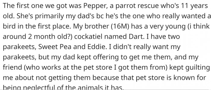 They have one dog, but he is not the issue—birds are. OP was basically tricked (forced) into taking two parakeets.