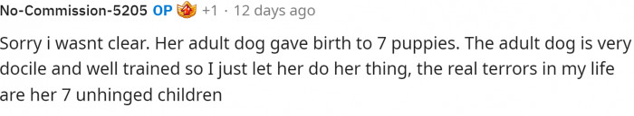 Here's OP's comment on the question that was asked above. OP states that the mother of the pups is well-behaved, which is why he didn't mention her much at all.