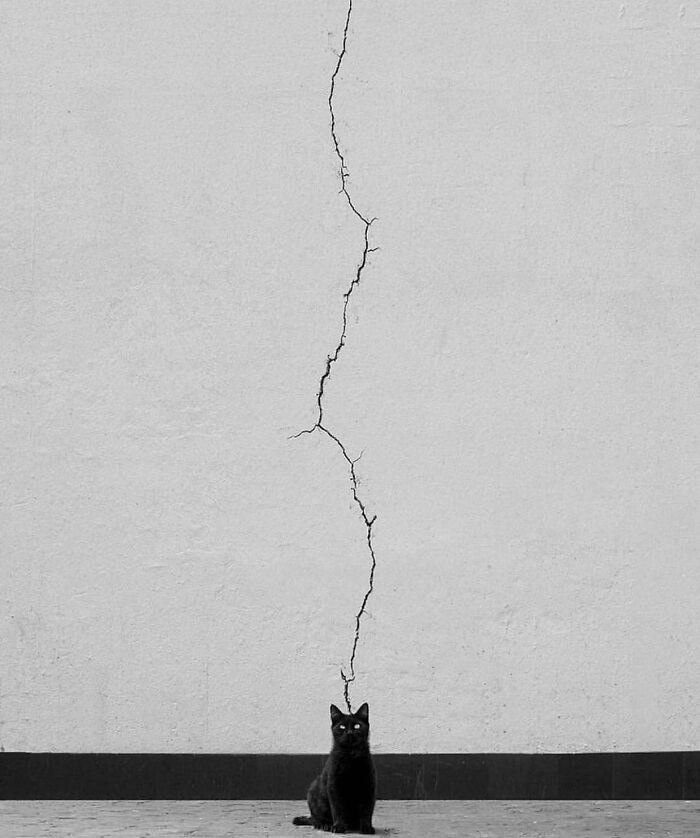 Photo By Ali Zoghadri