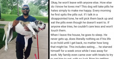 People Online Share Heartwarming Stories To Prove That Dogs Do Have Favorite Humans