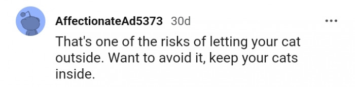 One of the risks of letting your cat out