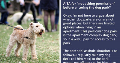 Dog Owners Clash After The Owner Of The Aggressive Pup Told The Other They Should Have Asked Permission Before Entering The Community Dog Park