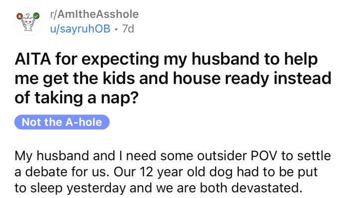 The OP asked if she's an a**hole for expecting her husband to help around the house instead of taking a nap after their dog passed away.
