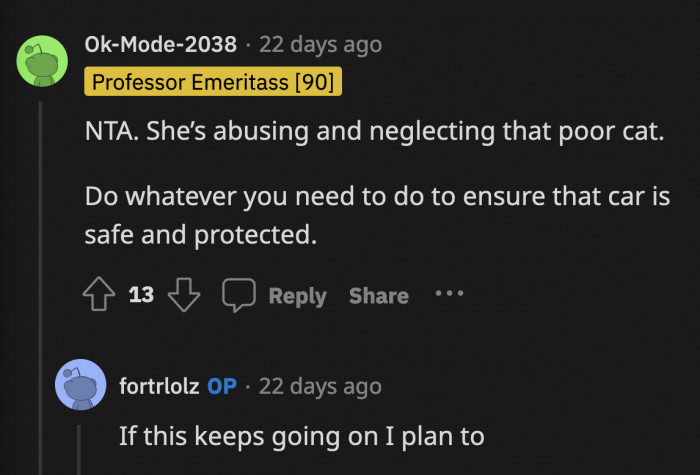 Her sister may not appreciate it now, but OP is doing right by her and the cat.