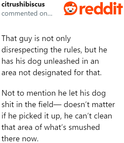 This guy isn't just breaking one rule.