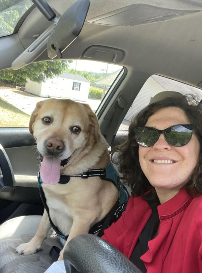 River the rescued stray dog before and after proper care and love.