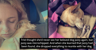 Jazzy, A Dog Who Reportedly Died, Runs Into Her Owner’s Arms When They Reunite At The Shelter