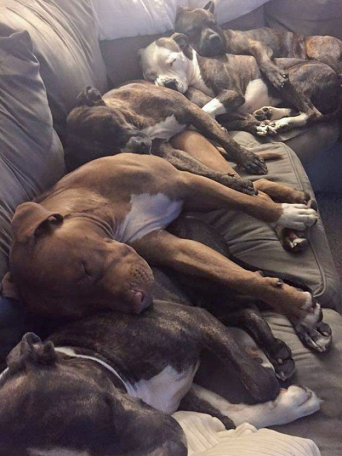 17. It Was a Good Movie